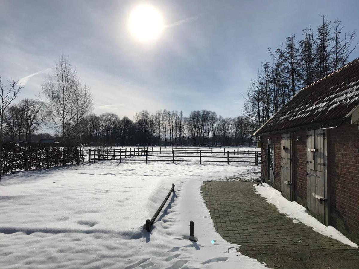 Losser 4Seasonshouse 빌라 외부 사진